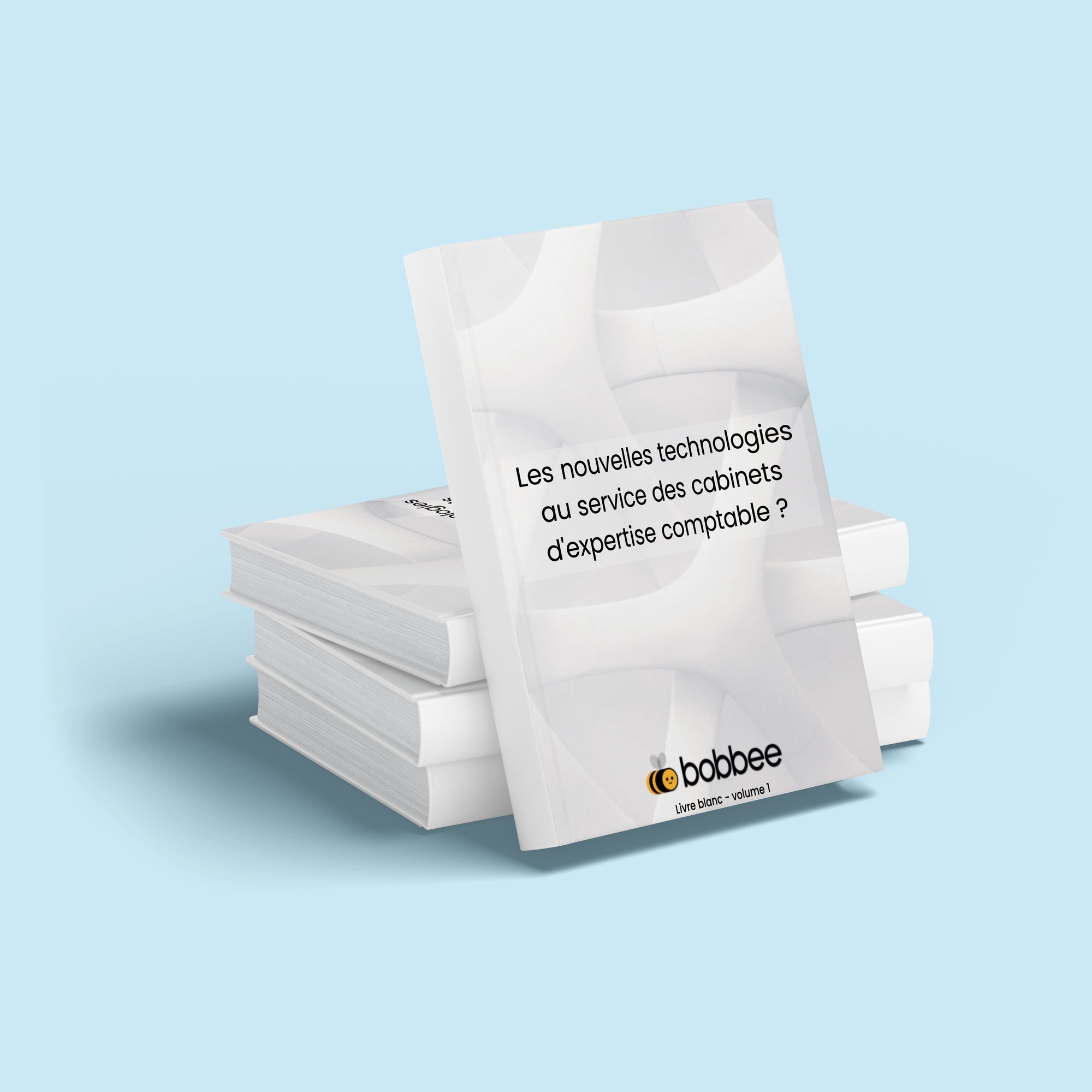 Livre blanc 1